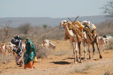  2. Somali. Nguy cơ gặp cướp biển cao và nằm trong khu vực bất ổn do chiến tranh khiến Somalia chắc chắn không phải là một điểm đến lý tưởng để du lịch. Hơn nữa thủ tục visa khá rắc rối, khi cần phải có một visa riêng biệt mới được đến Somaliland – vùng yên bình nhất đất nước. Ngoài ra nếu khách du lịch là người Israel hoặc đã đến Israel đều không được phép đặt chân vào Somalia. Tại đất nước này không có lãnh sự của nước ngoài để giải quyết các rắc rối của khách du lịch.