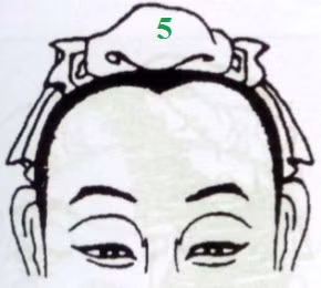 Trán như hình số 5 trên thoạt nhìn hơi giống trán chữ M, nhưng thực tế chỉ có phần giữa chân tóc hơi lồi ra một chút, được gọi là trán mỹ nhân tiêm. Những người có trán này rất hiếu thắng, tò mò và mưu mẹo, họ thường đi xa quê hương để lập nghiệp.