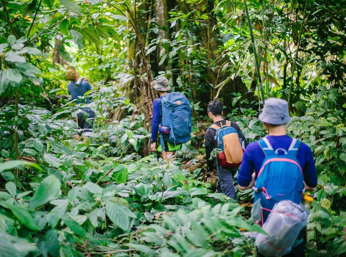 Vì thác nước có chiều dài lớn nên du khách muốn khám phá được hết các tầng thác thường lựa chọn trekking trong một ngày với nhiều hoạt động như: đi bộ theo con thác, khám phá lòng thác, tắm ở các chân vực, thưởng thức bữa ăn giữa dòng nước mát,…