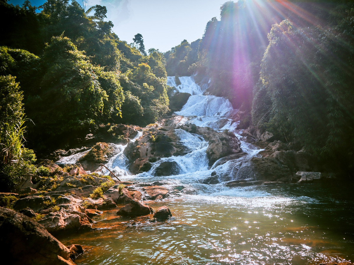 Đến đây, du khách được thám hiểm những cánh rừng già với nhiều cây cổ thụ vài trăm năm tuổi, những cây leo chằng chịt và nhiều loại gỗ quý.