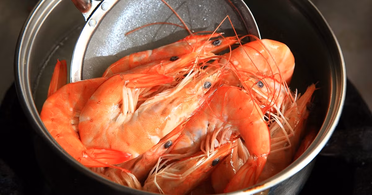 Danh sach den nhung thu gay ung thu dang ton tai trong tu lanh-Hinh-3