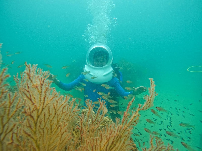 "Hoàng tử sơn ca" đặt chân đến nhiều nơi trên đất nước.