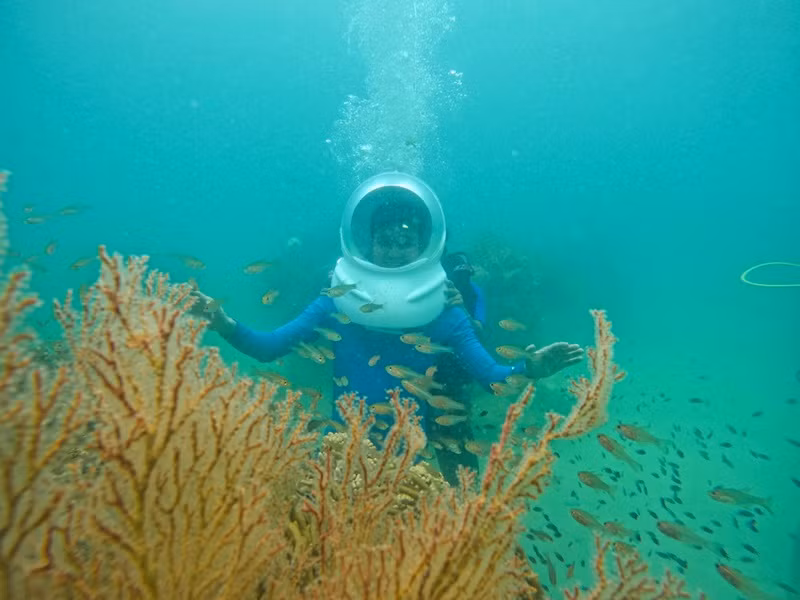 "Hoàng tử sơn ca" đặt chân đến nhiều nơi trên đất nước.