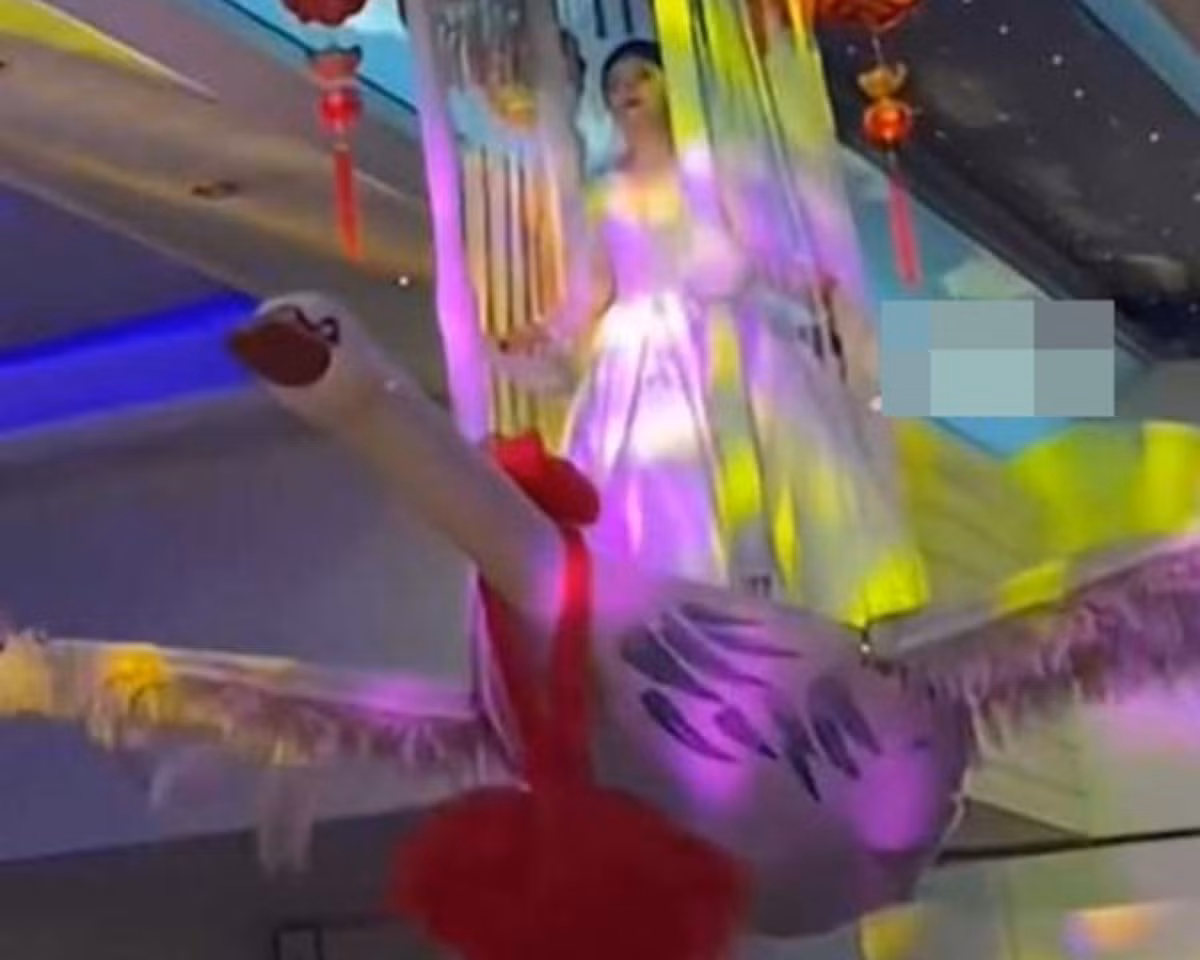 Doc dao co dau lai mo to, ngoi can cau 10m vao le duong-Hinh-5