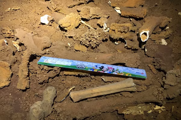 Phat hien hoa thach loai thu co trong hang dong o Vinh Ha Long