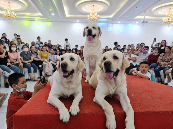 Hanh trinh xuyen Viet de doi cua mot “gia dinh 4 chan“-Hinh-2