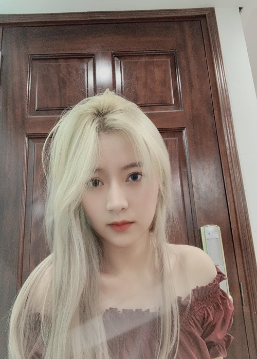 Theo Dân Trí, Thiên Nga đang là Phó giám đốc Trung tâm nghiên cứu pháp luật và công tác xã hội toàn cầu (thuộc Liên hiệp các hội Khoa học và Kỹ thuật Việt Nam). Ảnh: FBNV.