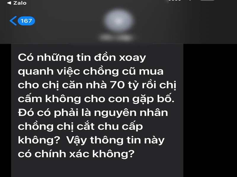 Sau ly hôn, Elly Trần phủ nhận một số tin đồn như bị chồng cũ cắt chu cấp vì không cho con gặp bố, từng được chồng cũ mua cho căn nhà 70 tỷ hay đòi 5 tỷ mới ly hôn vì thua lỗ chứng khoán.