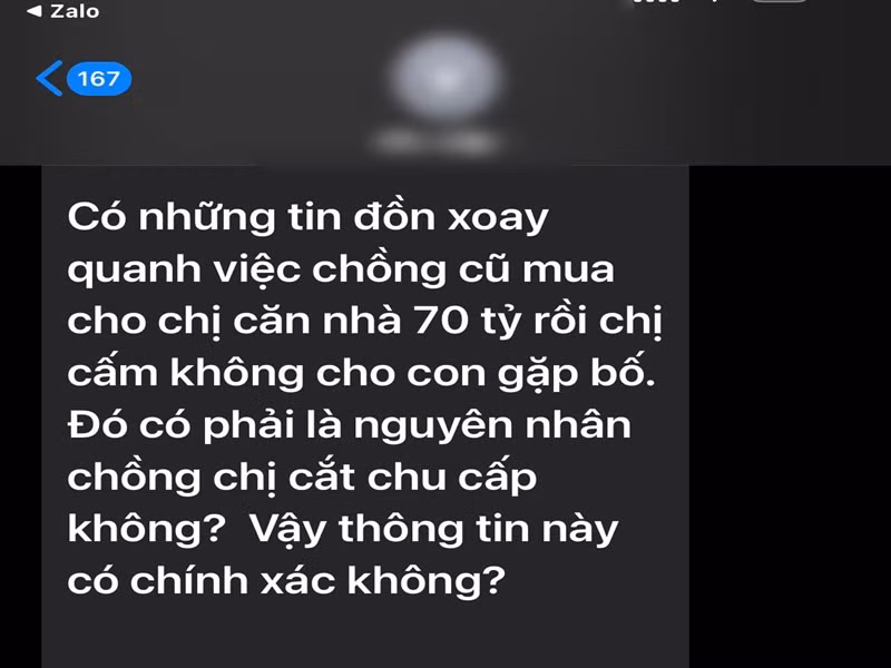 Sau ly hôn, Elly Trần phủ nhận một số tin đồn như bị chồng cũ cắt chu cấp vì không cho con gặp bố, từng được chồng cũ mua cho căn nhà 70 tỷ hay đòi 5 tỷ mới ly hôn vì thua lỗ chứng khoán.