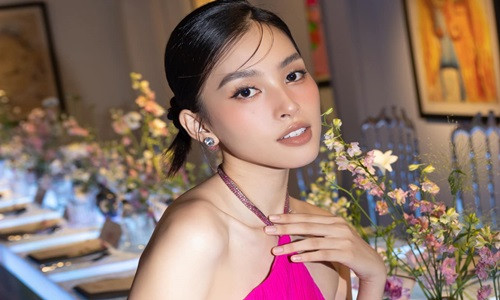 Tieu Vy phu nhan tin don hen ho ong Dang Le Nguyen Vu