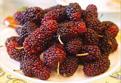 Tốt cho thị lực: Một trong những carotenoid được tìm thấy trong quả dâu tằm là zea-xanthin có tác dụng làm giảm mất cân bằng oxy hóa ở một số tế bào thị lực nhất định. Ngoài ra, chất này bảo vệ võng mạc khỏi tác hại của các gốc tự do dẫn đến thoái hóa điểm và đục nhân mắt. 