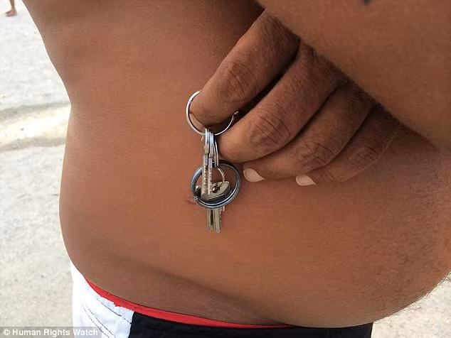 Luat rung tan bao trong cac nha tu kinh khung nhat Brazil-Hinh-3