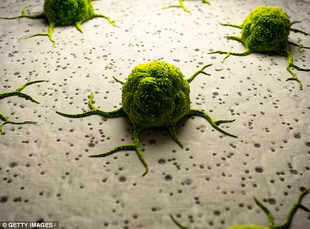 Hoa qua giau vitamin C cuu canh trong dieu tri ung thu-Hinh-2