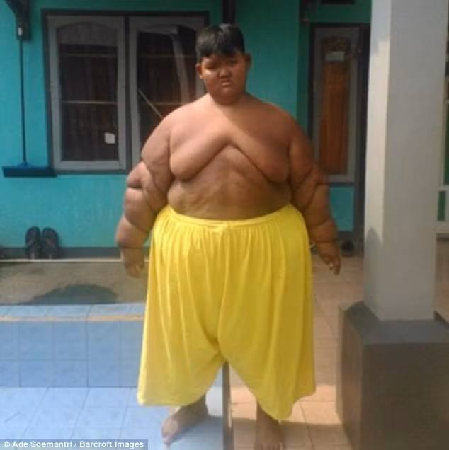 Cau be nang 190 kg cat da day de giam can-Hinh-2