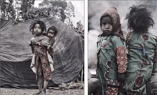 Run ray bo lac chon dung, dam giao xuyen so nguoi-Hinh-7