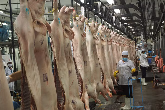 Bo Nong nghiep kien nghi du tru thit lon giai cuu chan nuoi