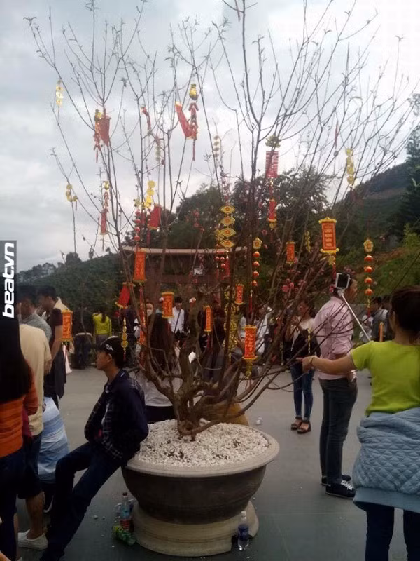 ‘Chon bong lai tien canh’ dong kin nguoi sau MV Lac Troi-Hinh-3