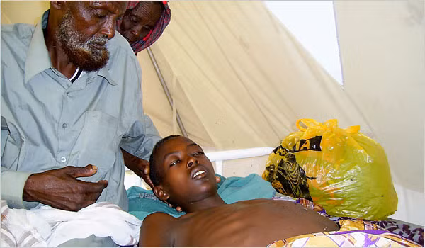 Sốt thung lũng Rift: Triệu chứng ban đầu là sốt không rõ nguyên nhân, đau nhức. Bệnh có thể biến chuyển xấu thành chảy máu trong, suy gan, viêm não và mù. Virus này chỉ lây sang người khi bị muỗi cắn chứ không lây trực tiếp từ người sang người. Nguy cơ sốt thung lũng Rift là từ những khách du lịch tới châu Phi. 