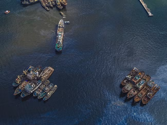 Những người dân nghèo đói còn đối mặt với nỗi sợ hãi do chiến dịch chống ma túy của tổng thống Duterte. Họ có thể bị giết nhầm, còn những con nghiện bị đẩy vào thế tiến thoái lưỡng nan do tiền điều trị cai nghiện quá đắt đỏ và đối mặt với việc bị bắn chết bất cứ lúc nào nếu bị nghi ngờ khi đang trốn chui lủi.