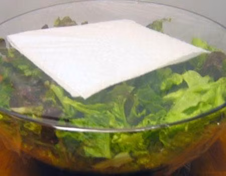 Để giữ cho rau diếp được tươi, đặt một tờ giấy ăn lên trên rau rồi dùng màng bọc bọc kín lại. 