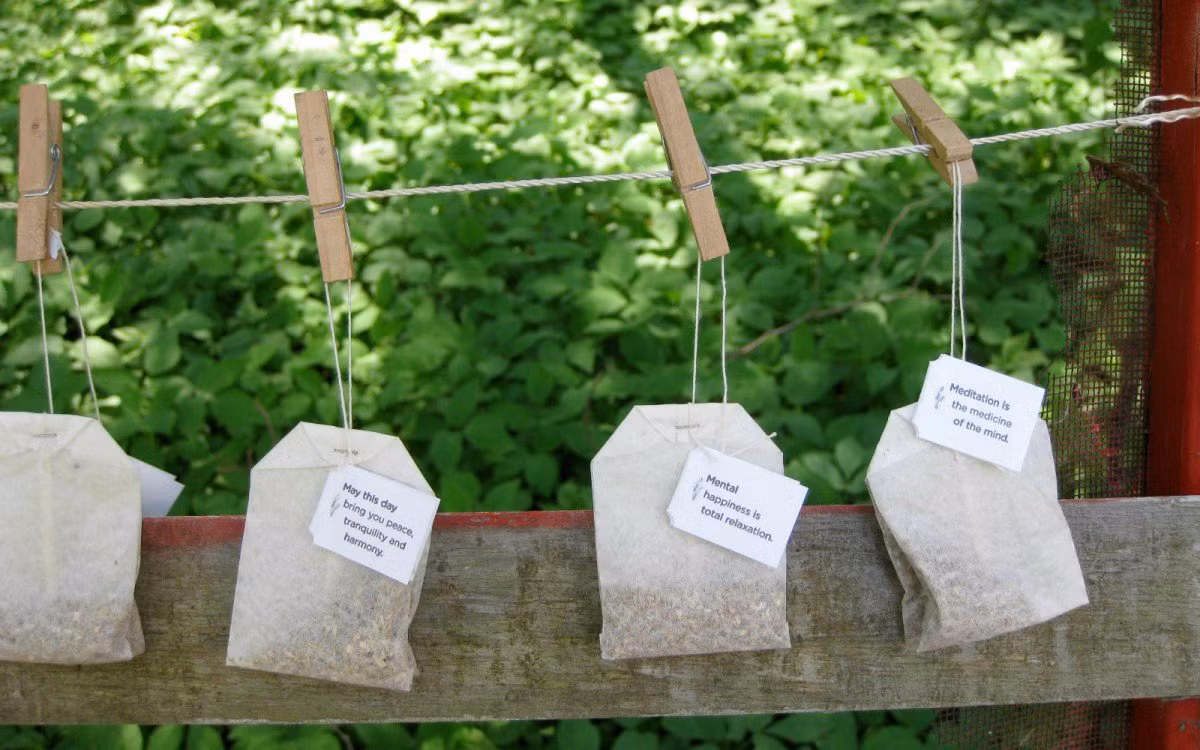 Nhưng ngâm trà túi lọc càng lâu thì chất tannin tiết ra càng nhiều ly trà sẽ bị đắng, gây se trong miệng, tạo cảm giác miệng bị khô. Ngoài ra, ngâm trà quá lâu sẽ khiến cả cốc và răng đều dễ bị ố màu. (Ảnh: onegreenplanet) 