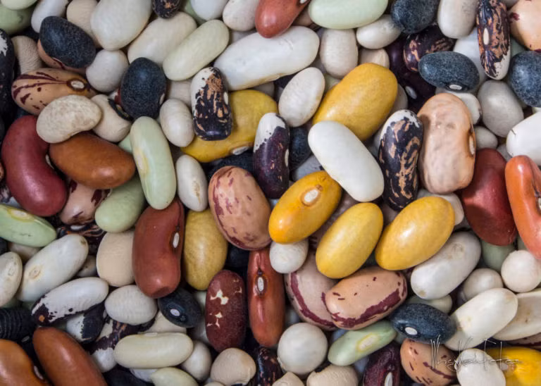 Các loại đậu: Dù là đậu khô hay đậu tươi hay đậu đóng hộp thì nguyên liệu này cũng vừa rẻ vừa tiện lợi vì chế biến được nhiều món. Bất kể đậu đen, đậu trắng hay đậu nào đi nữa cũng chứa nhiều chất xơ và protein. 