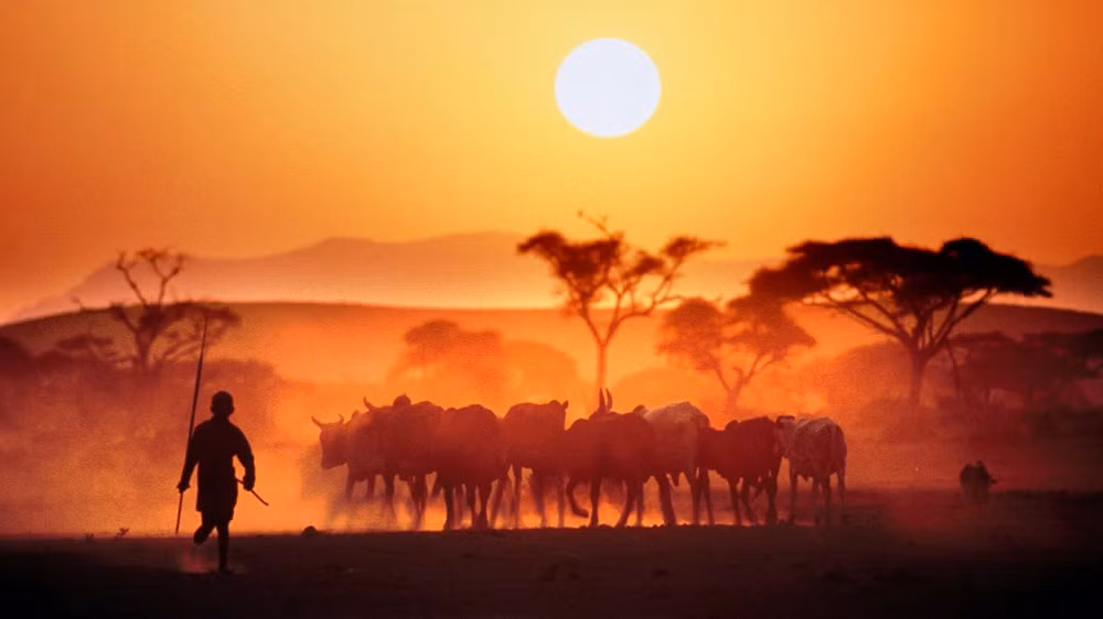 Kenya: Đây là điểm đến đích thực dành cho những ai muốn du lịch mạo hiểm. Từ những khu bảo tồn hoang dã, núi tuyết, thảo nguyên tới biển vàng, tất cả đều có thể tìm thấy ở quốc gia châu Phi này.