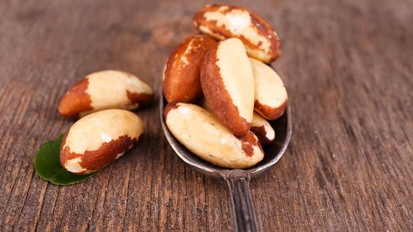 Tuy nhiên đây không phải là lý do bạn phải tránh xa chất selen. Đây vẫn là một khoáng chất thiết yếu để sản sinh selenoprotein. Selenoprotein không chỉ là một chất chống oxy hóa mà còn đóng vai trò quan trọng đối với chức năng sinh sản, chức năng tuyến giáp. Một hạt hạch Brazil có chứa 68-91microgram selen. Một người lớn chỉ nên bổ sung 400 microgram selen/ngày, đồng nghĩa chỉ nên ăn 4-5 hạt/ngày. (Ảnh: thegioihat) 