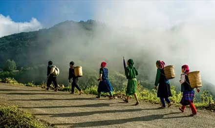 San dai lao tra tren dinh Tay Con Linh