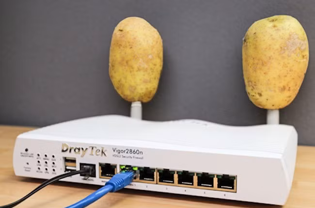 Một trong những bất ngờ về khoai tây là củ này có thể thu và phát sóng wifi nhờ có nước và các thành phần hóa học có trong nó.