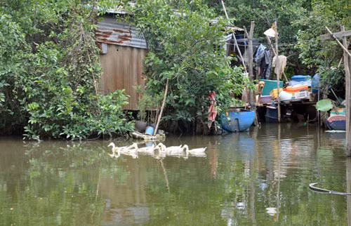 Cuộc sống của ông Phương gắn liền với “ốc đảo”. Buổi sáng lùa đàn vịt đi ăn, rãnh rỗi thì chài lưới kiếm cá bán và cải thiện bữa ăn. Rồi lại về căn chòi ngủ nghỉ.