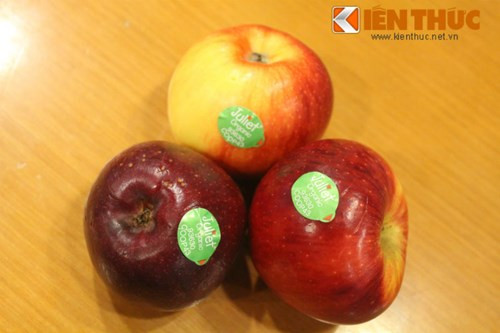 3 quả táo được mua tại siêu thị uy tín trên địa bàn Hà Nội, được Kiến Thức thử nghiệm giữ 49 ngày và kết quả: 2 quả táo để trong tủ lạnh vẫn tươi nguyên, còn quả táo để ngoài thì mới có triệu chứng héo và thâm một chút.