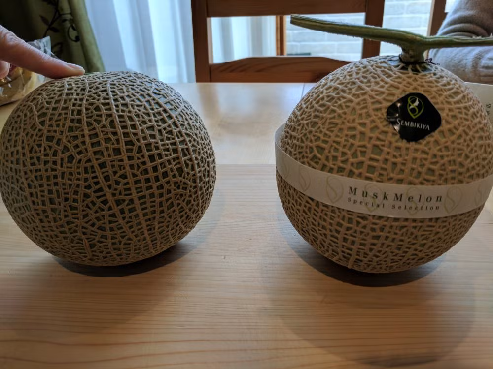 Quả dưa lưới bên phải có giá thành gấp gần 20 lần quả dưa lưới bên trái. Quả tròn trịa, có màu sắc đẹp mắt hơn hẳn. 