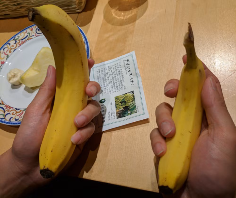 Khi so sánh bề ngoài hai quả chuối này thì chỉ thấy chuối Sembikiya to hơn. Tuy nhiên, sự khác biệt được thể hiện rõ khi cắt hai quả chuối này ra. 