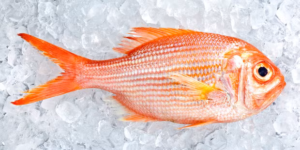 Cách tốt nhất là dùng khay nhôm đựng đá để bảo quản cá. Nhưng nếu nhà không có sẵn khay nhôm, bạn có thể làm theo cách đơn giản hơn như sau.