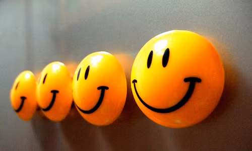 Mọi người biết đến serotonin với tư cách là một chất có trong não, nhưng phần lớn chất dẫn truyền thần kinh này lại được sản xuất trong hệ tiêu hóa. Serotonin có ảnh hưởng rất lớn đến tâm trạng, cảm xúc, trí nhớ, cơn thèm ăn, cảm giác đau, thói quen ngủ, khẩu vị, tiêu hóa và cả thân nhiệt. (Ảnh: SaddaHaq)