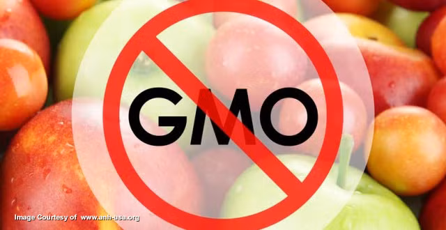 Kevin Folta, người đứng đầu bộ môn khoa học làm vườn tại Đại học Florida tin rằng hầu hết mọi công kích hướng vào thực phẩm biến đổi gen là kết quả của việc truyền đạt thông tin kém cũng như sự thiếu minh bạch của các công ty sản xuất thực phẩm GMO. (Ảnh: Naturalnews) 