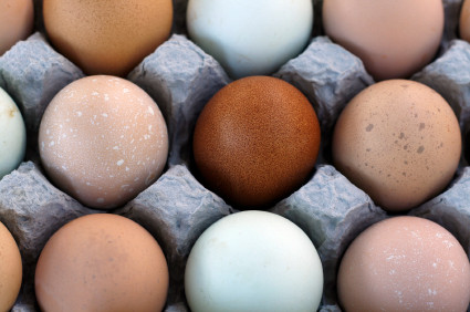 Những thực phẩm có khả năng chống ung thư vú tốt nhất cần ăn thêm là: nấm, rau mầm bông cải xanh, hạt lựu, quả óc chó, việt quất, trứng, cá hồi, bánh mì lúa mạch.