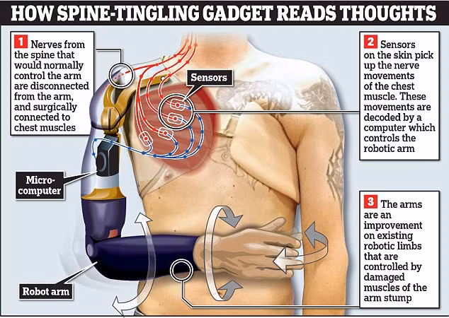 Sap co tay gia thuc hien duoc nhieu cu dong nhu that
