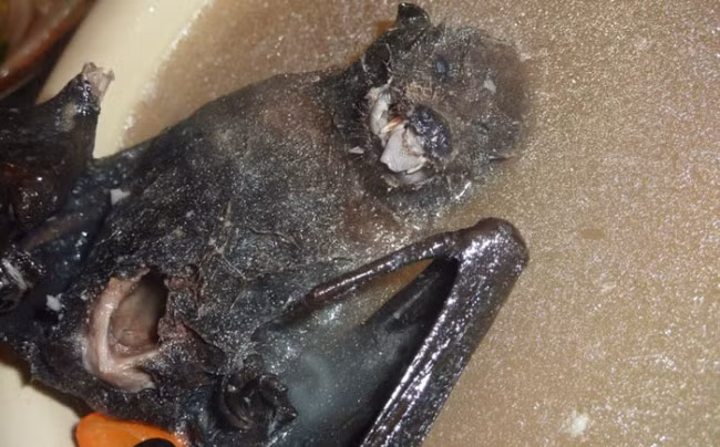 Có khá nhiều nước ở châu Á như Guam, Thái Lan, Singapore, Indonesisa ăn canh dơi và cả Việt Nam. Thịt dơi ít mỡ, nhiều đạm và ăn có vị giống thịt gà. Tuy nhiên, người Guam lại ăn dơi theo cách “dã man” hơn là thả dơi sống vào nước sôi có chứa nước cốt dừa và ăn hết không bỏ thứ gì trừ xương và răng. 