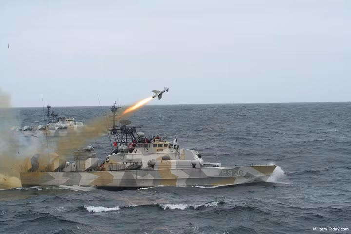 Phiên bản tên lửa Penguin phóng từ tàu chiến (Mk 2) và phóng từ trên không (Mk 3) có trọng lượng 385/370 kg; chiều dài 3,0/3,2 m; sải cánh 1,4/1,0 m; đường kính 0,28 m; mang theo đầu nổ giữ chậm nặng 120/130 kg.