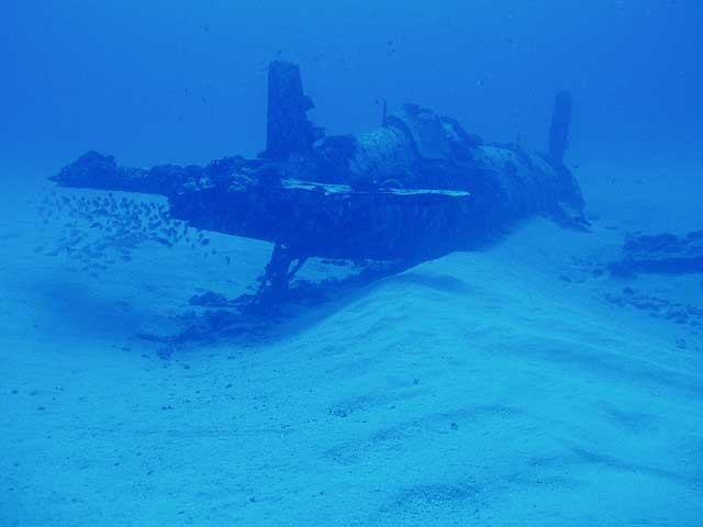 Trong tổng số 1156 tàu ngầm đã từng được Đức quốc xã sử dụng trong Chiến tranh Thế giới thứ hai, có tới 784 tàu ngầm đã bị đánh chìm. Tuy nhiên con số thiệt hại này bao gồm cả các tàu ngầm bị chìm do tai nạn, hỏng hóc và nhiều lý do khác chứ không chỉ là do bị Quân đồng minh tiêu diệt. Nguồn ảnh: Navyhistory.