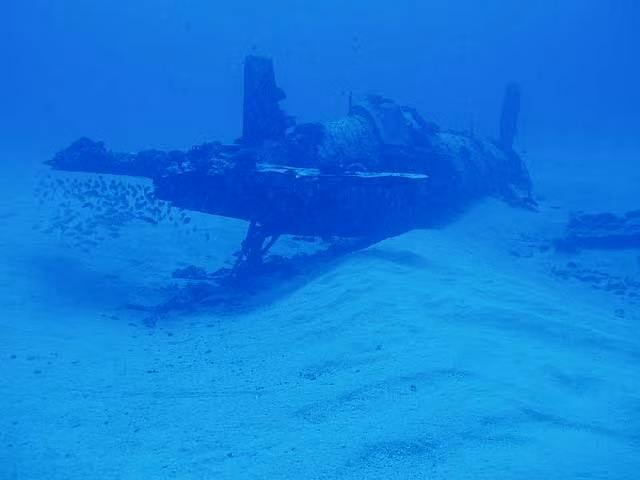 Trong tổng số 1156 tàu ngầm đã từng được Đức quốc xã sử dụng trong Chiến tranh Thế giới thứ hai, có tới 784 tàu ngầm đã bị đánh chìm. Tuy nhiên con số thiệt hại này bao gồm cả các tàu ngầm bị chìm do tai nạn, hỏng hóc và nhiều lý do khác chứ không chỉ là do bị Quân đồng minh tiêu diệt. Nguồn ảnh: Navyhistory.