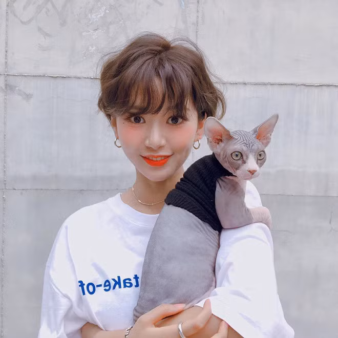 Trong năm 2018, xu hướng tóc pixie đi kèm với màu nhuộm sáng trở nên phổ biến. Các cô gái cá tính mạnh có thể lựa chọn gam bạch kim, nâu sáng nổi bật. Nếu muốn gương mặt sáng lên vài tông, hãy chọn nâu vàng hoặc hạt dẻ ấm áp.