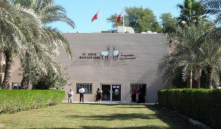 Công viên Hoang dã Al Areen có hơn 500 loài động vật và 10.000 loài thực vật.