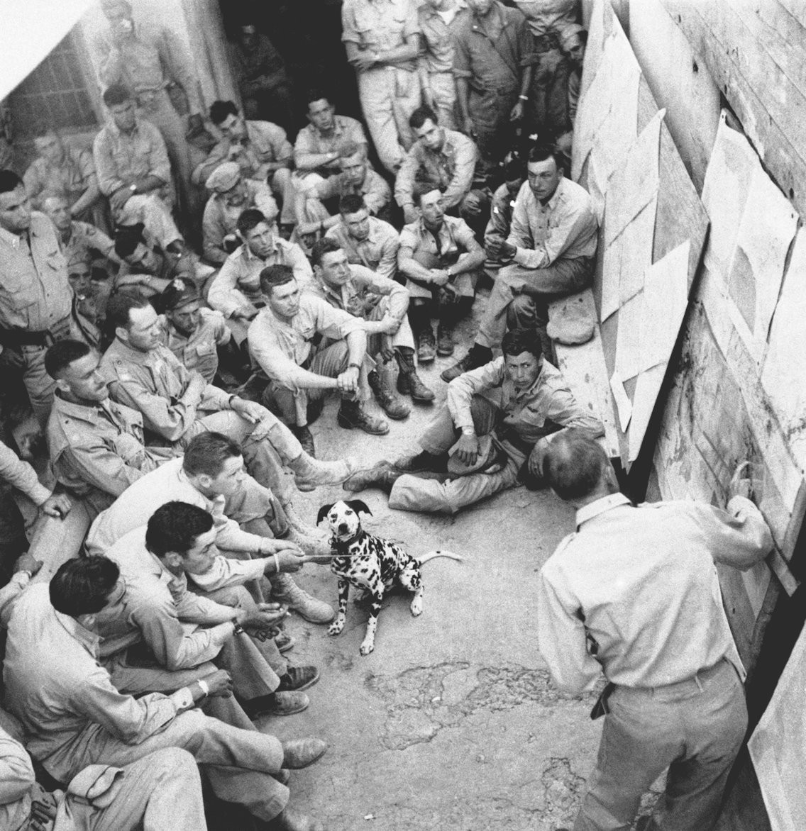 Thương vong của quân Đồng minh là khá ít với một chiến dịch đổ bộ tấn công quy mô lớn như thế này. Cụ thể, phía Anh và Canada chỉ có 2721 lính thiệt mạng, 7939 lính bị thương và khoảng 2183 lính bị bắt làm tù binh. Nguồn ảnh: BI.