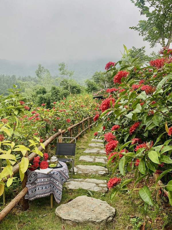 Me man khu vuon 3.000m2, ruc ro o ngoai thanh Ha Noi-Hinh-2