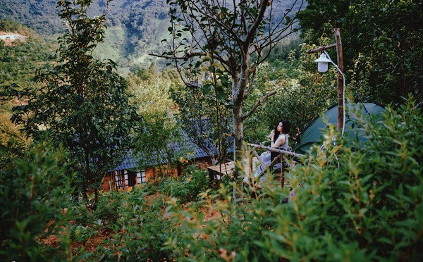 Me man khu vuon 3.000m2, ruc ro o ngoai thanh Ha Noi-Hinh-4