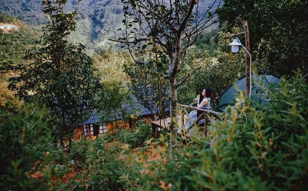 Me man khu vuon 3.000m2, ruc ro o ngoai thanh Ha Noi-Hinh-4