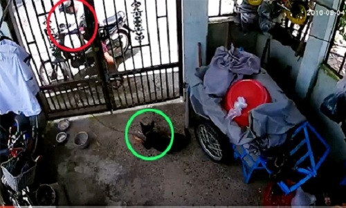 Cau tac trom cho sieu tao ton o Cu Chi